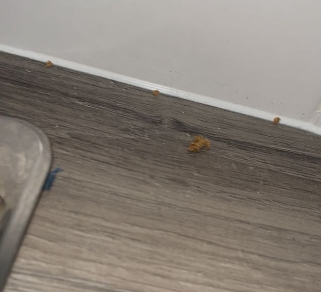 The kitchen counters were covered in crumbs and sugar, clearly not wiped down after the previous guests