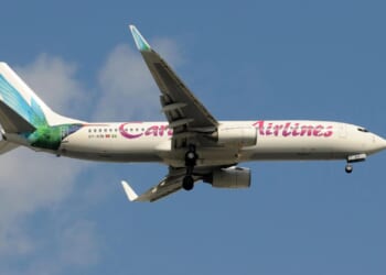 Woman gives birth on flight minutes before touching down in New York as airport officials suggest appropriate baby name