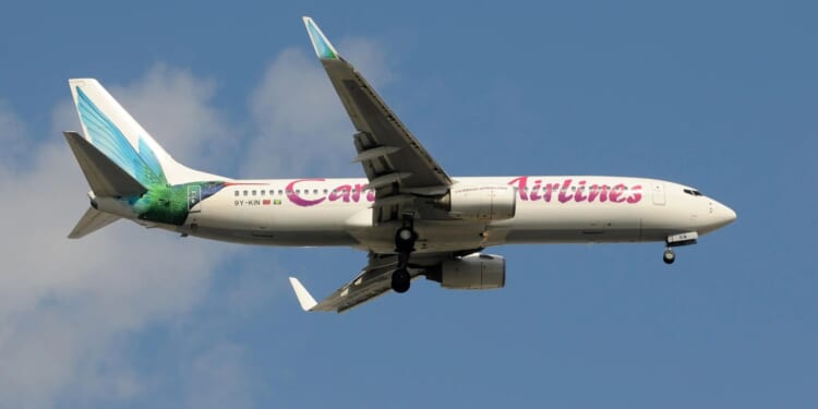 Woman gives birth on flight minutes before touching down in New York as airport officials suggest appropriate baby name