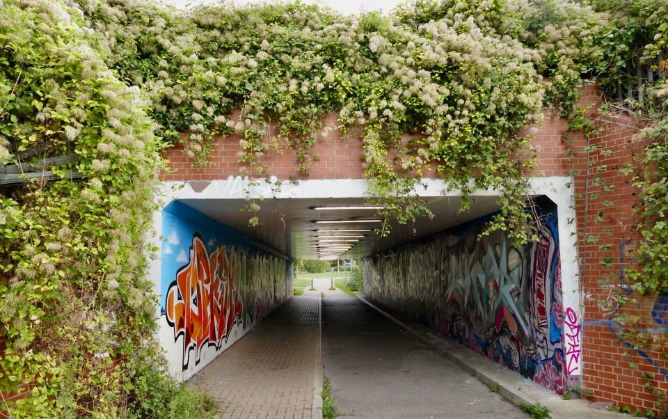 NINTCHDBPICT001071635011