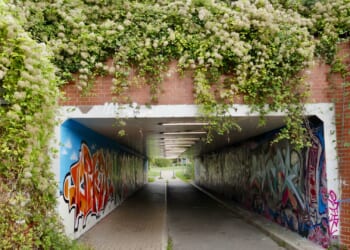 Cops appeal for witnesses after man 'tried to kiss teen girl' under a bridge as man, 47, arrested