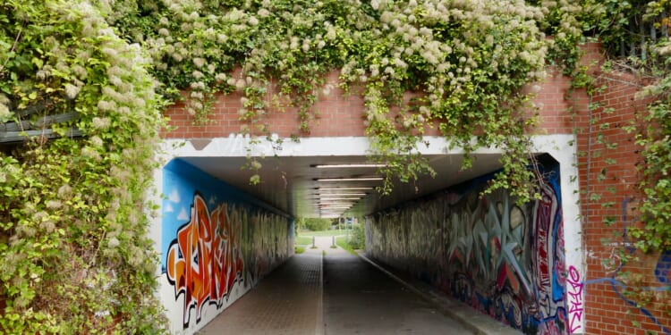 Cops appeal for witnesses after man 'tried to kiss teen girl' under a bridge as man, 47, arrested