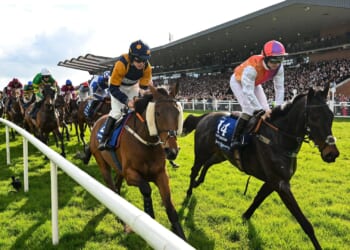 Irish Grand National horse numbers 2026