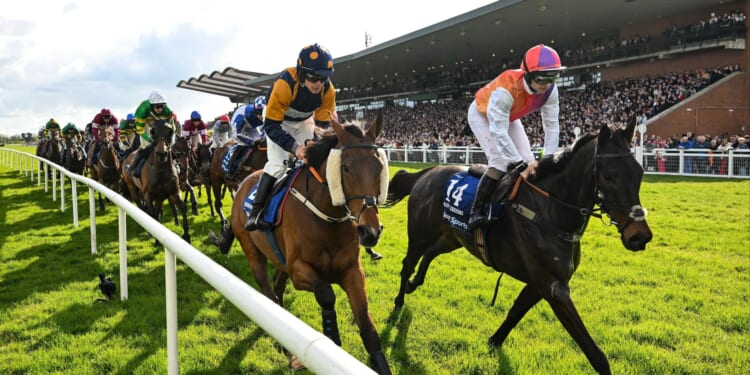 Irish Grand National horse numbers 2026