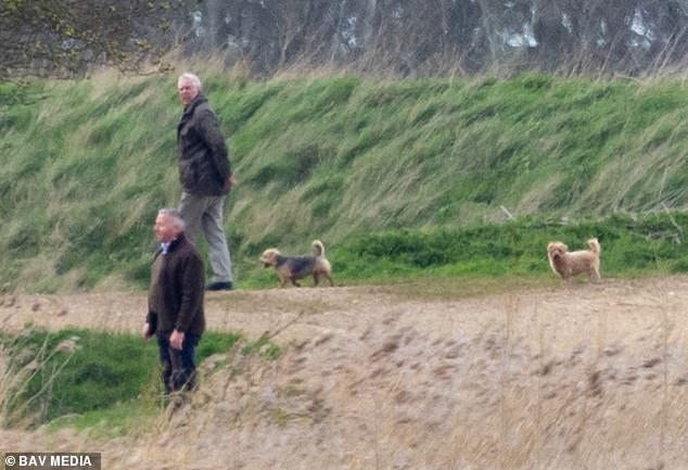 Andrew was pictured walking his dogs around the Sandringham Estate on Saturday with his bodyguard