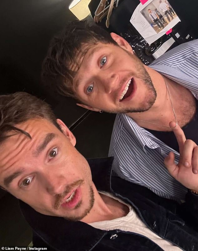 Liam and Niall are pictured together during their last meeting, after the former attended the latter's tour show in Buenos Aires, just weeks before falling to his death in the city