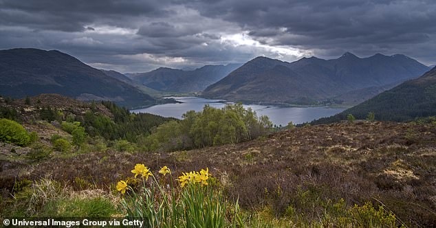 Inverinate sits in a protected conservation area on the banks of Loch Duich (pictured) and is home to home to deer, Eurasian otters, pipistrelle bats and western European hedgehogs