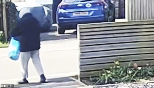 The thief carefully places the hyacinth plant in her large blue carrier bag before walking across the road where she eyes up another flowerbed, seemingly in her sights