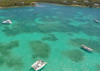 Frantic search for tourist who fell overboard & swept to sea while on Bahamas boat trip with husband