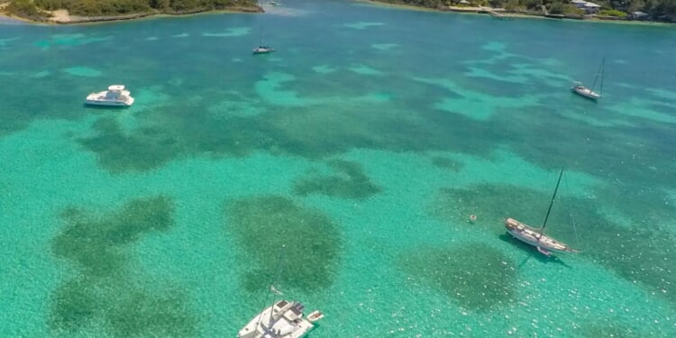 Frantic search for tourist who fell overboard & swept to sea while on Bahamas boat trip with husband