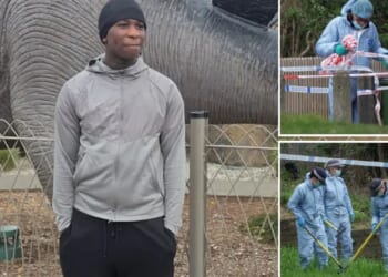 Boy, 14, shot dead in London 'told mum he was filming rap video with mates'