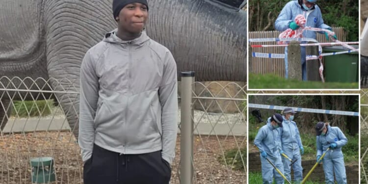Boy, 14, shot dead in London 'told mum he was filming rap video with mates'