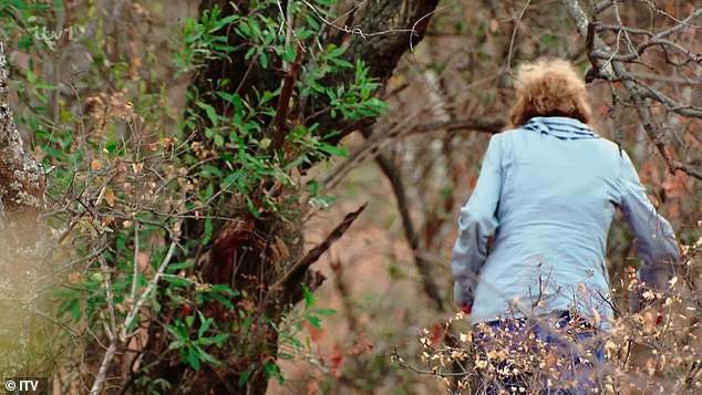As she walked through the jungle, she said: 'David Haye. I will get my own back on him'