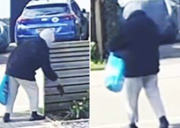 Bizarre moment hooded thief steals a single flower from couple's garden & makes off with it in her bag for life