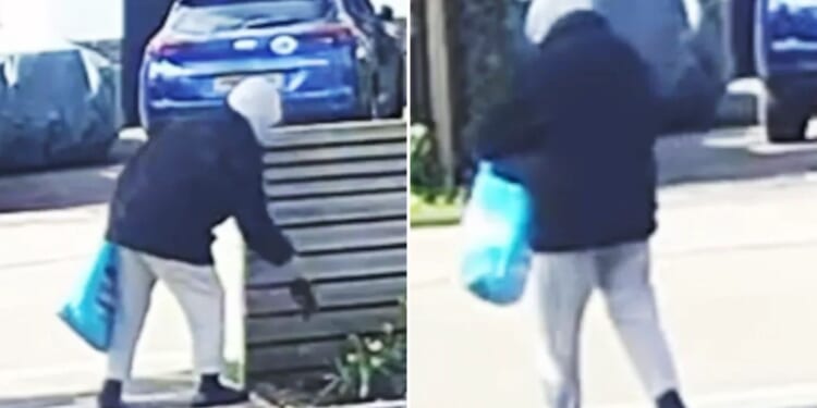 Bizarre moment hooded thief steals a single flower from couple's garden & makes off with it in her bag for life