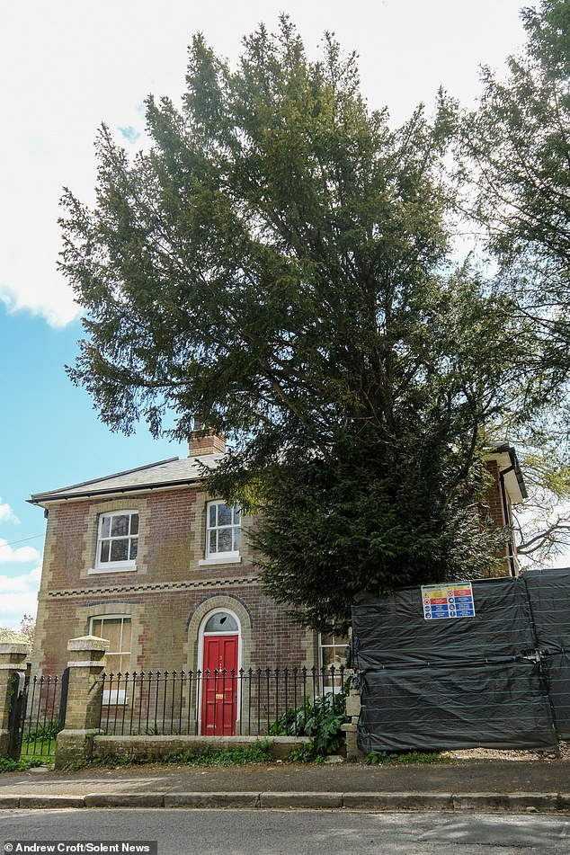 The property developer has been hit with criticism from his neighbours who say 'travesty of justice' if the trees were to be removed as they are 'over 60 years old and in good condition'. Pictured: The house and trees in Winchester
