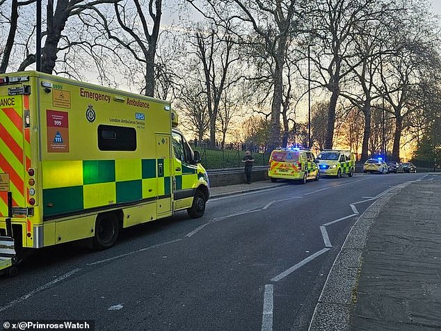 Officers and ambulance crews were called at around 6.40pm today to reports of a fight at the view point next to Regent's park.