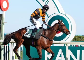 Aintree Grand National TV guide and race times 2026 – FREE live stream details for blockbuster Festival
