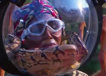 I'm a Celeb's Sinitta screams in terror as snake slithers round her FACE in Bushtucker Trial with Seann Walsh