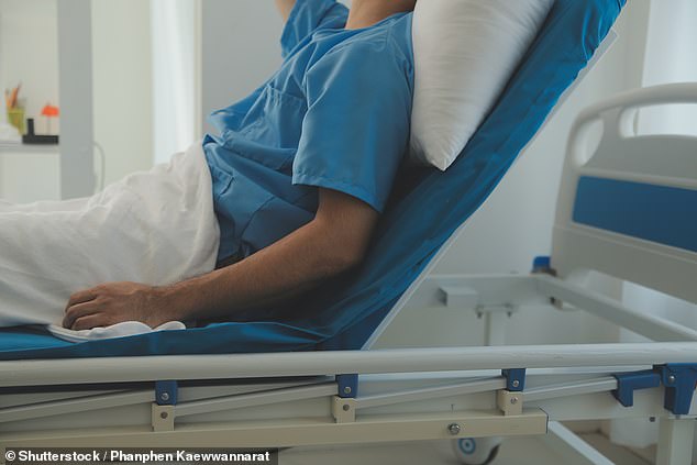 Sydney Local Health District (SLHD) Chief Executive Deb Willcox said hospital staff are 'very fond' of the patient (stock image)