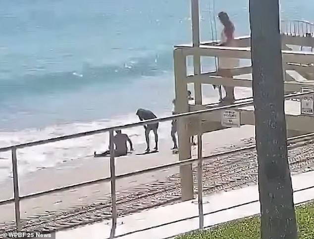 Shortly after the shooting, a passerby found a man believed to be Ellis in distress in the ocean