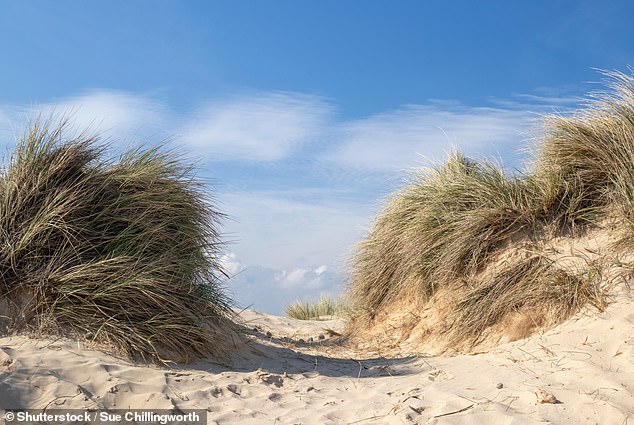 Walberswick Beach in Suffolk is relatively unknown and calm