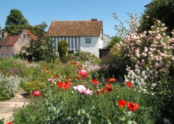 5 fast-growing flowers you need to plant in April to make your garden pop this summer