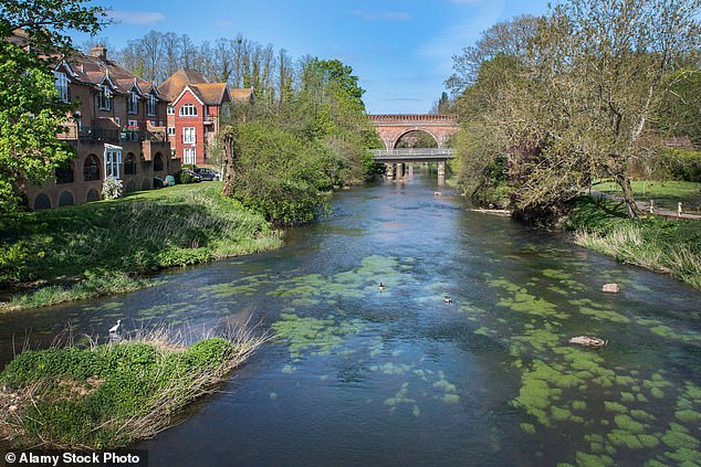 Leatherhead, which is only 39 minutes from Waterloo, enjoys picturesque countryside