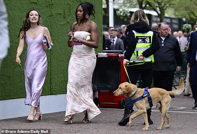 Racegoers on the first day of the Randox Grand National Festival at Aintree racecourse