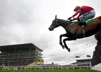 Grand National Festival horse collapses and rushed into ambulance in worrying scenes at Aintree