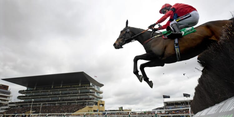 Grand National Festival horse collapses and rushed into ambulance in worrying scenes at Aintree