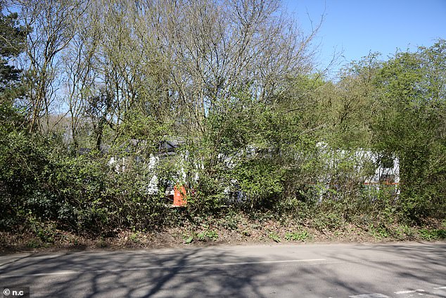 The view of the new caravan site through some trees from the main country road in the village