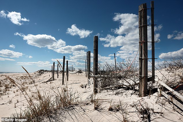 We now know that between 1993 and 2010, Heuermann murdered eight women, dumping many of their remains on Gilgo Beach. But are there still more victims?