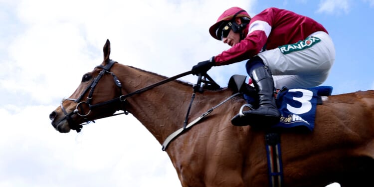 Willie Mullins heartbreak as Gold Dancer dies after heroic Grand National Festival win