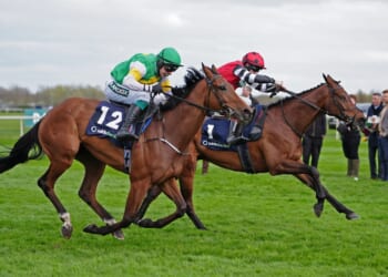 Grand National horse numbers 2026 – full list of runners and riders for HUGE Aintree race