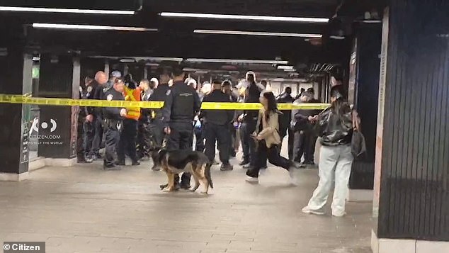 The man allegedly used a machete to stab the two people on Saturday morning