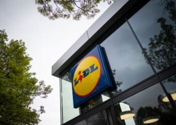 Lidl is selling a garden gadget that adds privacy day and night