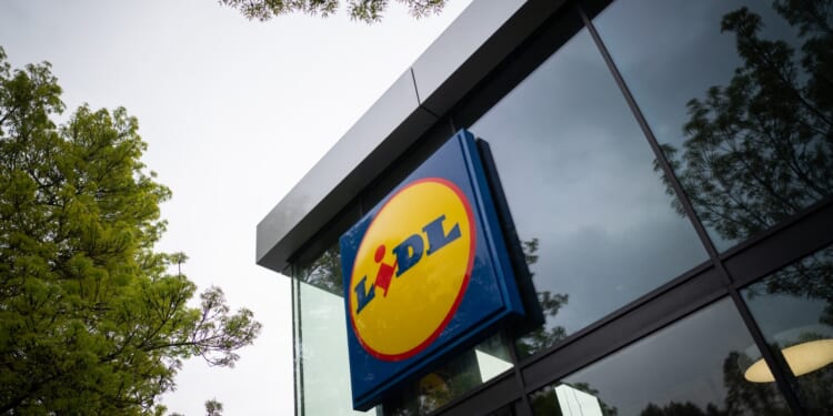 Lidl is selling a garden gadget that adds privacy day and night