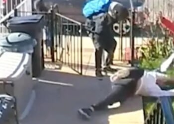 Horror moment gran, 75, has head STOMPED on in neighbor row over dog poo as heroic bystander recalls 'agonising scream'