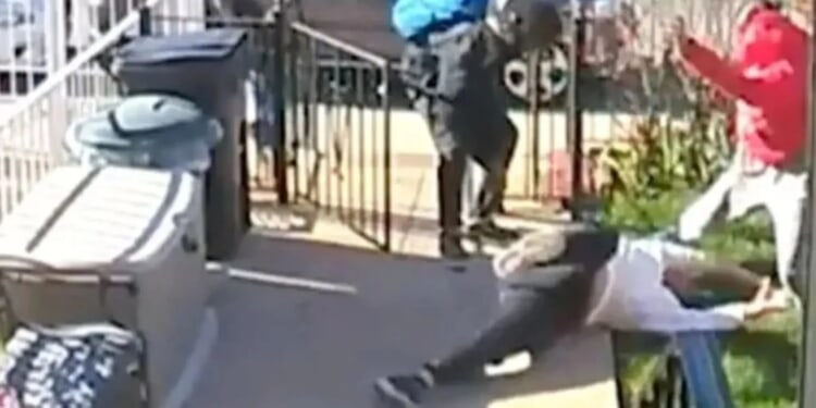 Horror moment gran, 75, has head STOMPED on in neighbor row over dog poo as heroic bystander recalls 'agonising scream'