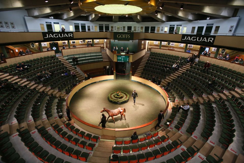 IRELAND-BREXIT-RACING-AGRICULTURE