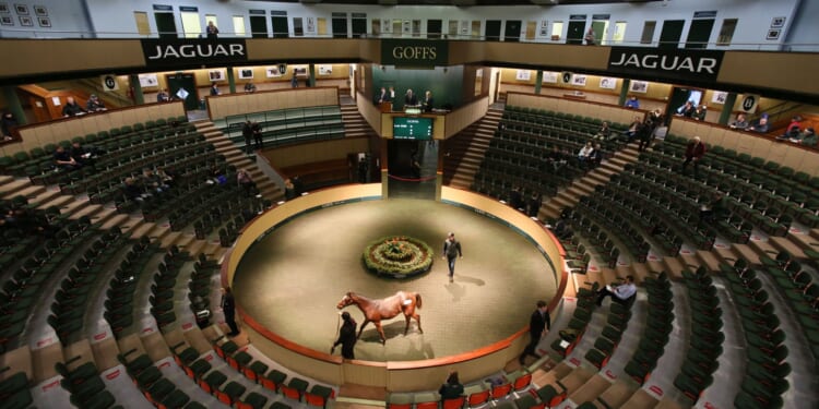 Ronnie O'Sullivan wants top-level snooker to return to country that hasn't had ranking tournament for nearly 20 years