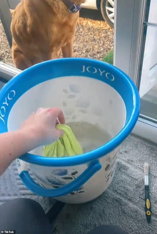 One creator explained how the 'traveller starter cleaning kit' includes a JOYO bucket, as they are available in a range of colours and are 'very stylish'