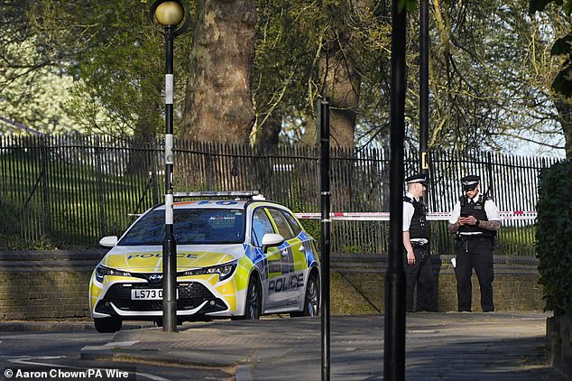 Police were called to the incident at one of London's best-known beauty spots, on Tuesday afternoon