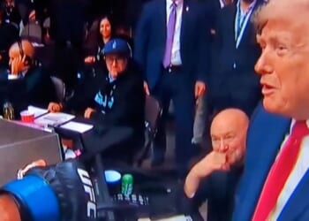 'You're too good looking to be a fighter'