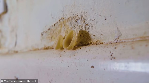 Dealing with the damp in the main house was also an issue because of the old heating system and there were even mushrooms growing on the walls