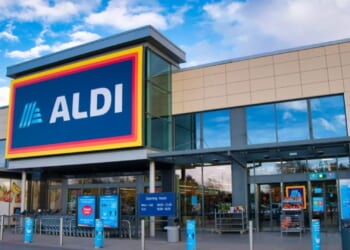 Cast a beautiful silhouette across your garden with Aldi's £11.99 Moroccan buy