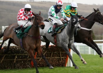 What grey horses are running in the Scottish Grand National 2026 and when was the last time a grey horse won?