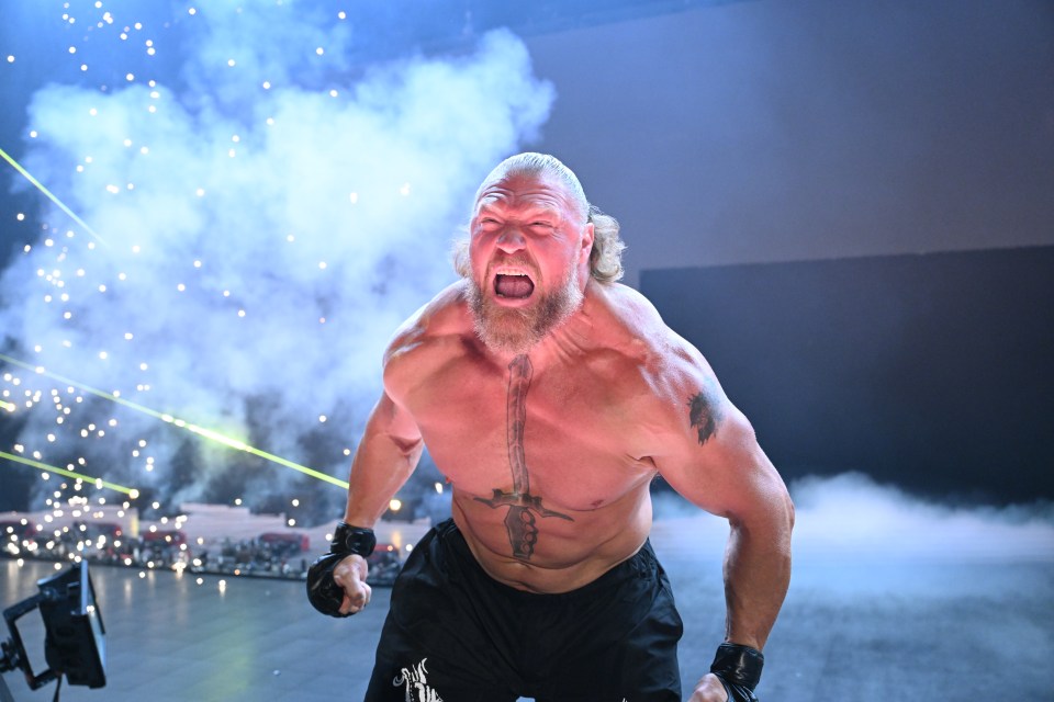 WWE - Wrestlepalooza