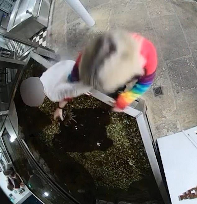 Following Smart's stunt (pictured) at the restaurant, owner Mr Cooper has said the lobster she took was actually one of two pets kept by his Michelin Guide eatery
